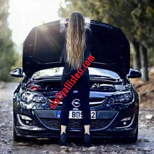 Opel Ariza İsaretleri