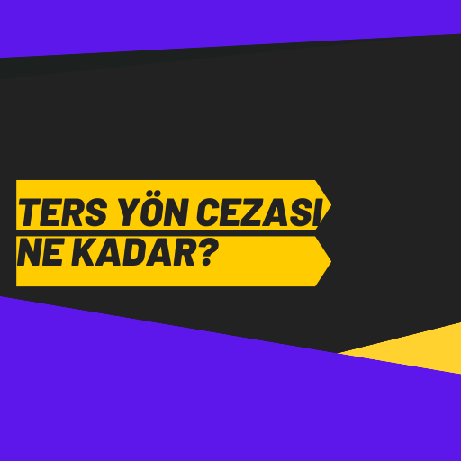 Ters Yön Cezası